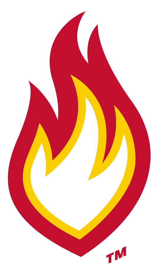 Illinois-Chicago Flames 2010-2015 Secondary Logo DIY iron on transfer (heat transfer)